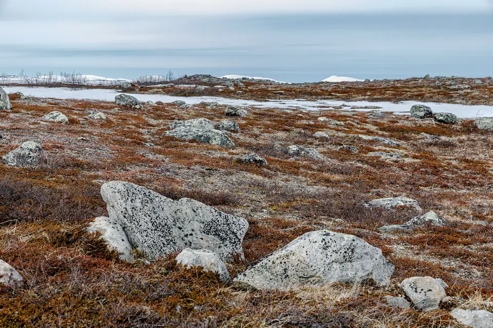 Blick vom Áilegas. Die Pfade führen von den Dörfern auf den Fjell, von dem aus Sie ins Tal sehen.