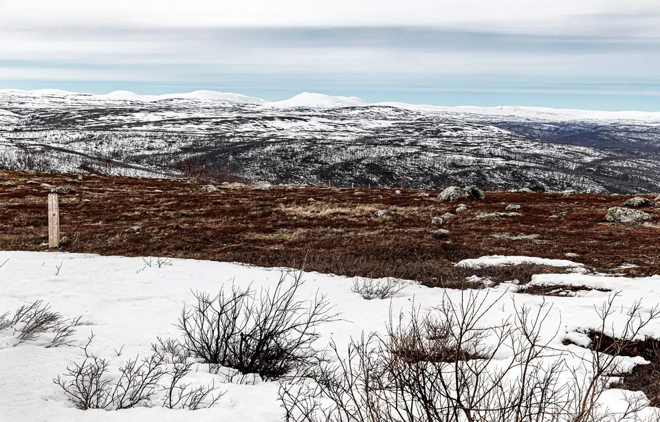 Utsjoki: Schneeschuhwandern durch die arktische Tundra – Symbolbild