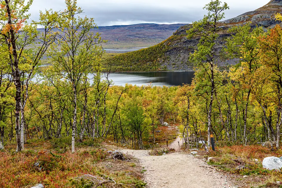 Opastettu patikkapäivä ja piknik, Inari – kuvituskuva
